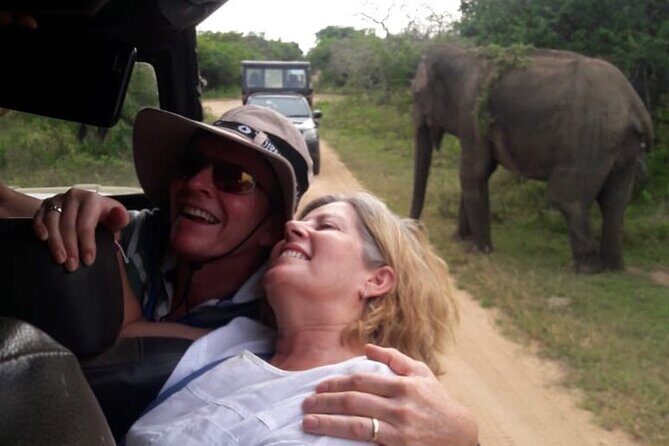 Explore The Beauty Of Udawalawe National Park From South Coast During 01 Day - The Sum Up