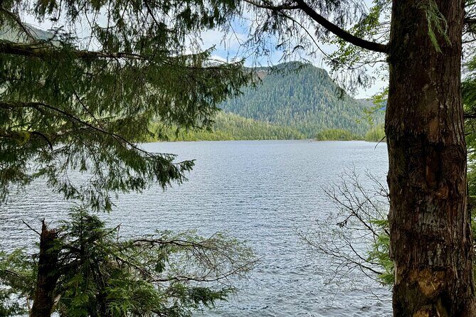 Explore Tongass National Forest on Connell Lake Trail Hike - A Detailed Look at the Connell Lake Trail Hike