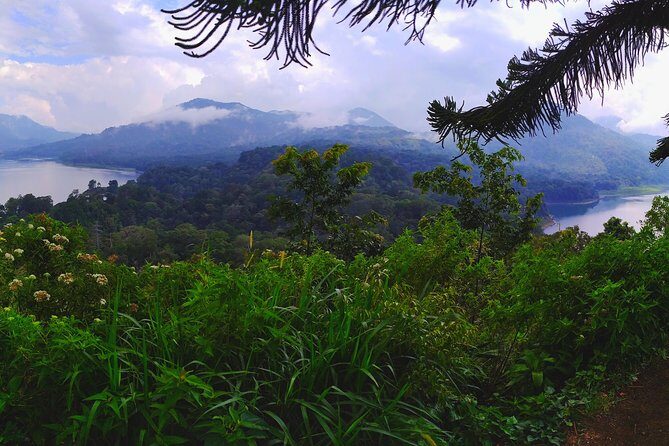 Explore Twin Lake Jungle Trekking and Canoeing - Practical Info & Tips