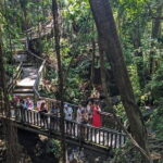 Explore Ubud Art Market, Monkey Forest and Rice Terraces - The Practical Side: What to Expect
