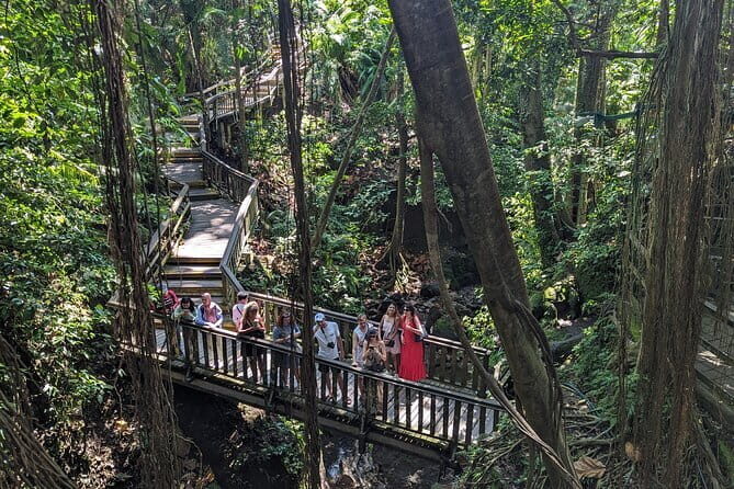Explore Ubud Art Market, Monkey Forest and Rice Terraces - The Practical Side: What to Expect