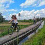 Explore Ubud with Electric Bike - Final Thoughts