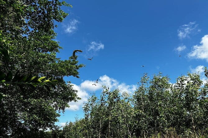 Explore Wetlands and Nature Reserve from Can Tho - What the Tour Includes and What to Consider