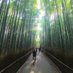 Exploring Arashiyama in a small group? E-bike tour is perfect! - Value & Practical Considerations