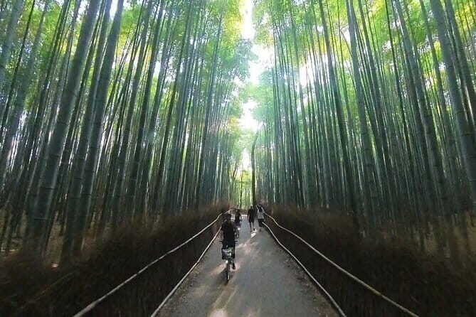 Exploring Arashiyama in a small group? E-bike tour is perfect! - Value & Practical Considerations