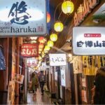 Exploring Hokkaido Nightlife Susukino Evening Walking Tour - Authentic Insights and Reviewer Perspectives
