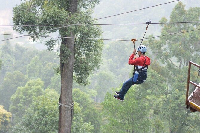 Extream Zipline @ Kingkong Smile and Dip in Hot Spring - The Sum Up: Is This Tour Worth It?
