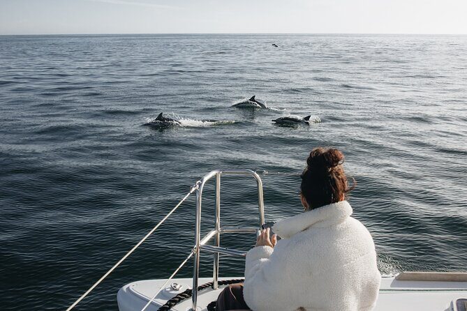 Fair Winds Charter Co. Private Sailing Charter - Who Is This Tour Best For?