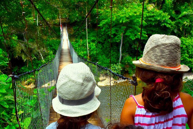 FAMILY JUNGLE TOUR: Orangutan Trek (4-hours hike) by EcoTravel Bukit Lawang - What the Reviews Say: authentic insights