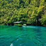 Famous Bohol Chocolate Hills Loboc River Cruise Tarsier Tour - The Sum Up