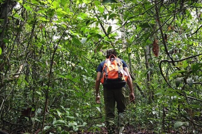 Fansipan Trek One Day Tour  Roof of Indochina - Practical Tips