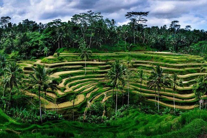 Fantastic Ubud Tour with Jungle Swing - The Itinerary in Detail