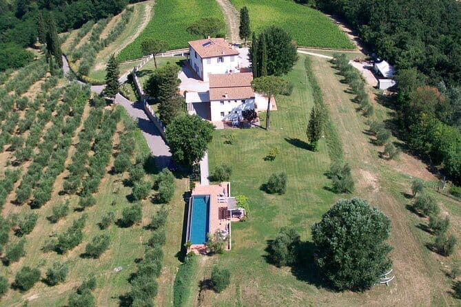 Farm To table Experience on an organic hilltop estate in Tuscany - Exploring the Estate and Gathering Ingredients
