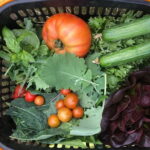 Farm to Table: Organic Farm Visit and Mongolian Cooking Class - Who Should Consider This Tour?