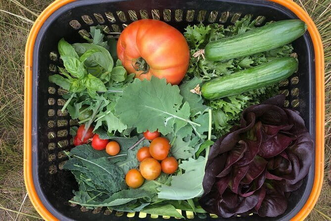 Farm to Table: Organic Farm Visit and Mongolian Cooking Class - Who Should Consider This Tour?