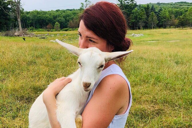 Farm Tour at Clover Brooke Llama/Alpaca/Goat Farm - Why Choose This Farm Tour?