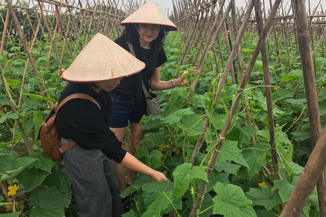 Farm tour & Home cooking class with local family in Hanoi - What Makes This Tour Stand Out?
