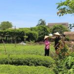 Farming with the Local Famers - Authenticity and Value