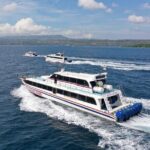 Fast Boat Transfer Sanur to Nusa Lembongan by Penidago - Practical Tips and Considerations
