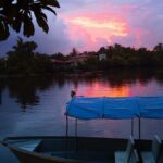 Fireflies Tour in Cherating - What to Expect and Tips for a Great Experience