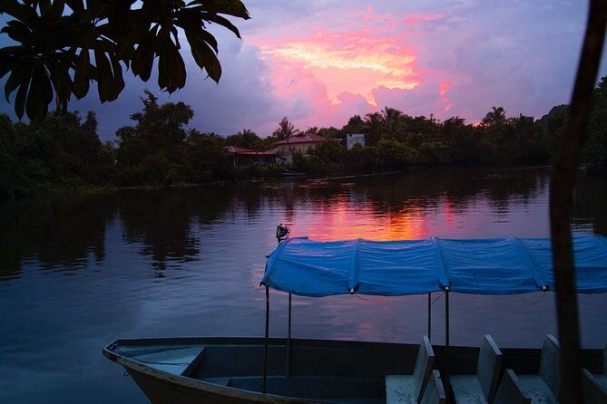 Fireflies Tour in Cherating - What to Expect and Tips for a Great Experience