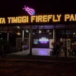 Firefly Tour Johor Bahru@Kota Tinggi Firefly Park - An In-Depth Look at the Firefly Experience