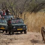 Five Days Golden Triangle Tour with Ranthambore Delhi Agra Jaipur - An In-Depth Look at the Itinerary