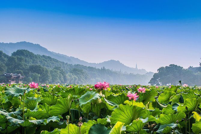 Flexible Hangzhou Private Day Tour with Lunch - Final Thoughts: Is This Tour Right for You?
