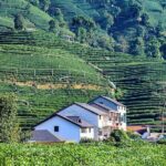 Flexible Hangzhou Private Tour from Shanghai by Bullet Train - The Sum Up