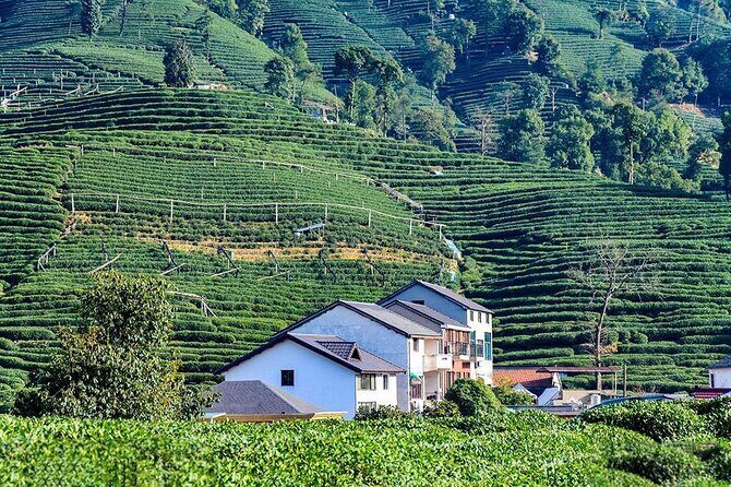 Flexible Hangzhou Private Tour from Shanghai by Bullet Train - The Sum Up