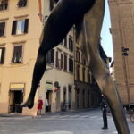 Florence Photo Safari Walking Tours - The Practicalities: What You Need to Know