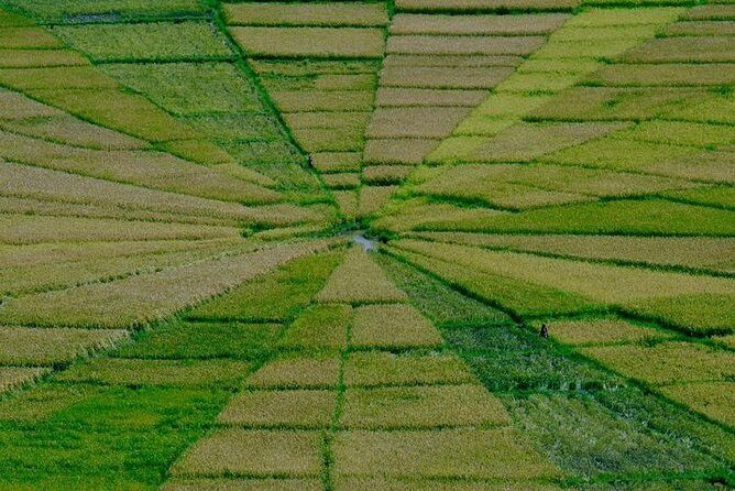 Flores Overland Tour - What Travelers Love About This Tour