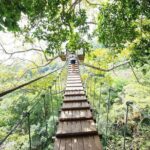 Flying Hanuman Zipline Adventure  Soar Through the Jungle! - What to Expect from the Itinerary