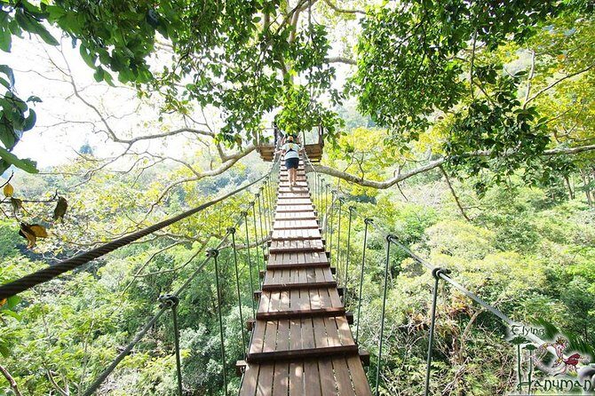 Flying Hanuman Zipline Adventure  Soar Through the Jungle! - What to Expect from the Itinerary