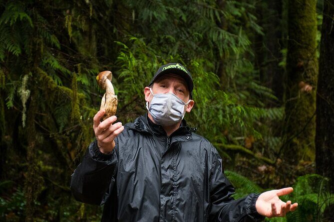 Foraging Tour of Edible Plants and Mushrooms in Brinnon - Why This Tour is Worth the Price