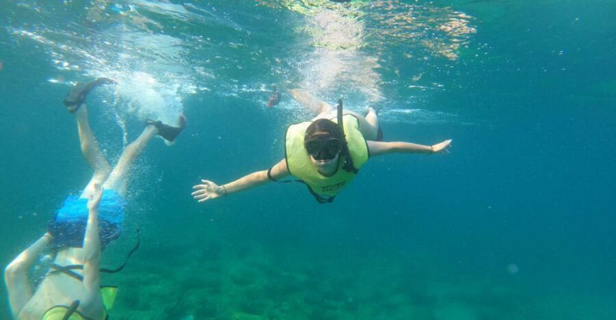 Fort Lauderdale: Guided Snorkeling Reef Tour and Lesson - The Itinerary: What to Expect