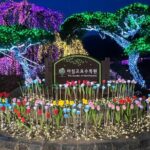 Four Seasons of Nami Island with Garden of Morning Calm Tour - The Flavors of Korea: Traditional Lunch at Nami Island