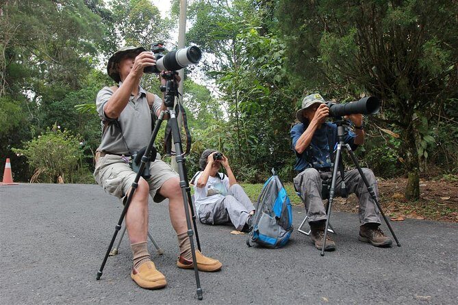 Fraser's Hill Bird-Watching & Nature Sightseeing Tour from Kuala Lumpur - The Value of This Tour
