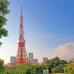 Freely set up plans Guided Private Tours in Tokyo - What You’ll Experience