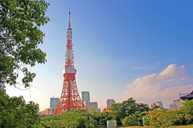 Freely set up plans Guided Private Tours in Tokyo - What You’ll Experience
