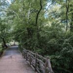 French Bicycle Tour of Central Park - Cinema - Whats Included & What Not