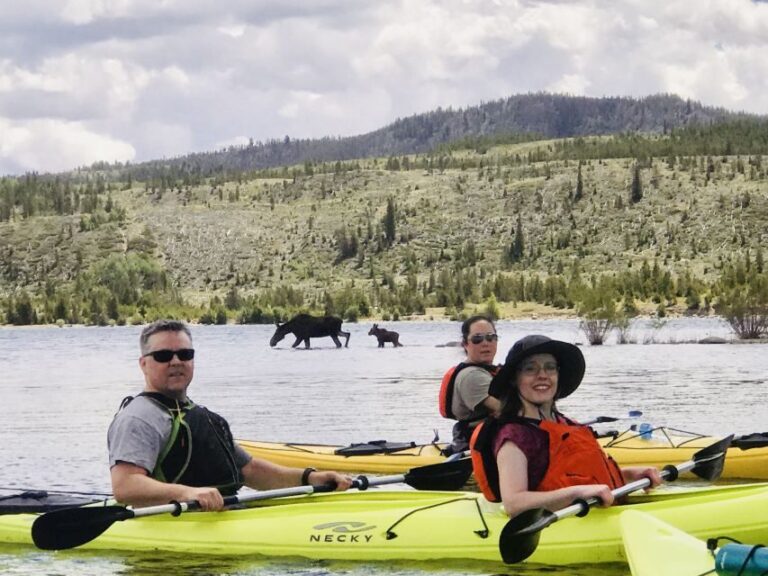 Frisco: Dillon Reservoir Guided Island Tour by Kayak - An In-Depth Look at the Itinerary