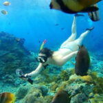 From Bali: Nusa Penida Snorkeling and Island Tour - Who Is This Tour Best For?