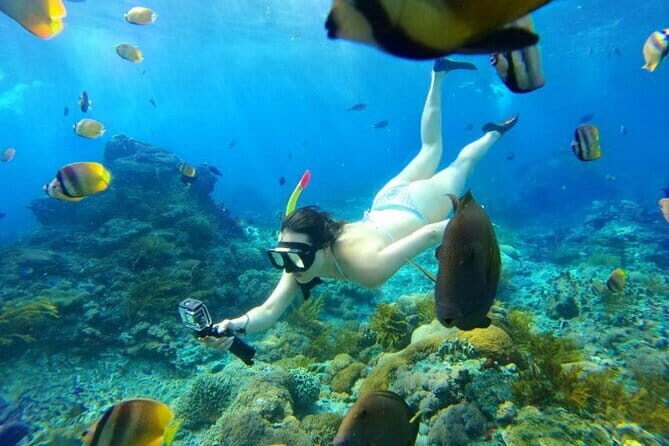 From Bali: Nusa Penida Snorkeling and Island Tour - Who Is This Tour Best For?