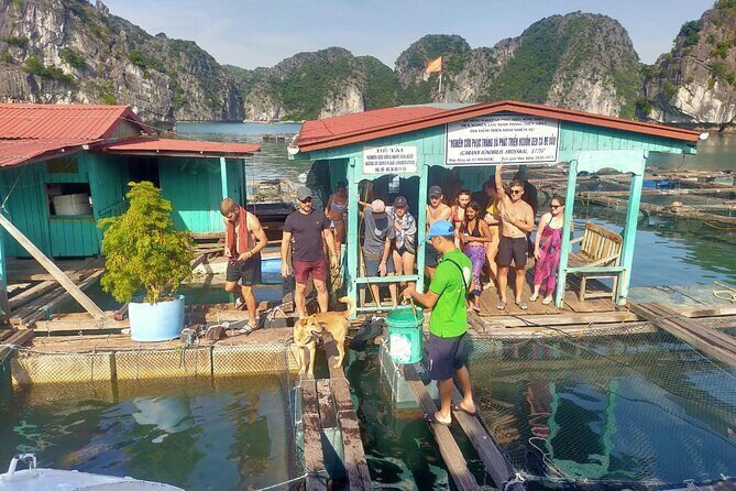 From Cat Ba island: full day boat tour to Lan Ha bay - Ha Long bay - What Makes This Tour Stand Out