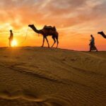 From Delhi: 3 Days Private Golden Triangle India Tour - The Sum Up