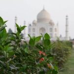 From Delhi : Luxury Taj Mahal Tour By Luxury Car- All Inclusive - The Value and Who This Tour Suits Best