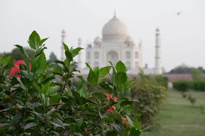 From Delhi : Luxury Taj Mahal Tour By Luxury Car- All Inclusive - The Value and Who This Tour Suits Best