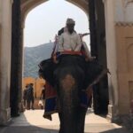 From Delhi: Private Jaipur Tour by Car - All Inclusive - FAQs