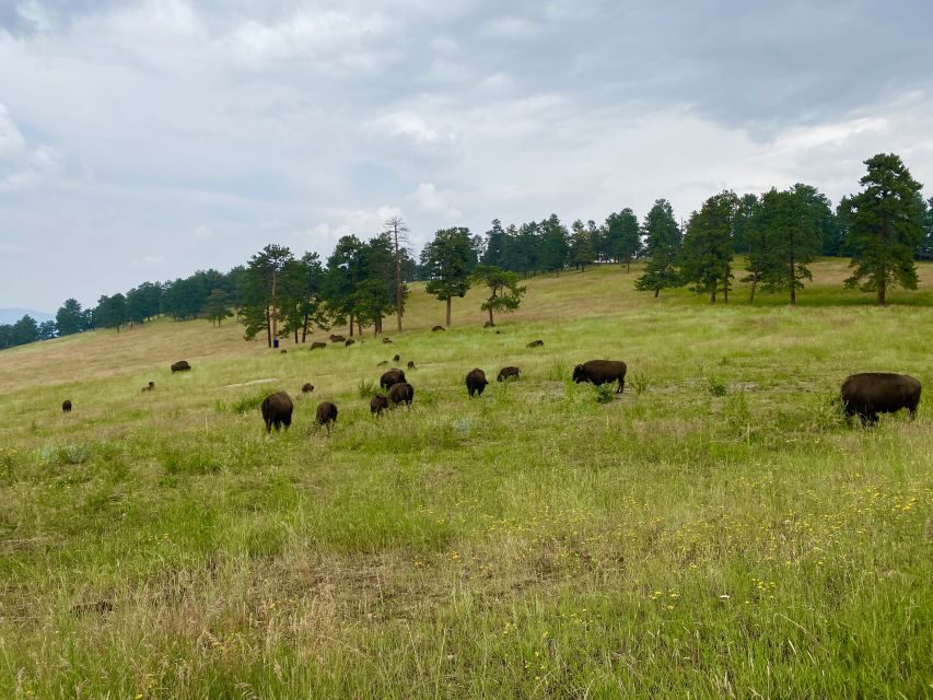 From Denver: Red Rocks and Foothills Half-Day Guided Tour - Final Thoughts
